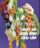 Kinh nghiệm trồng một số loại rau cao cấp: Phần 2