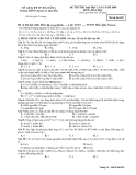 Đề thi thử Đại học lần 1 môn Hóa năm 2009 (Mã đề 493) - THPT Chuyên Lê Quý Đôn