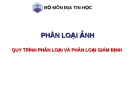 Bài giảng Địa tin học - Phân loại ảnh: Quy trình phân loại và phân loại giám định