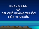 Bài giảng Kháng sinh và cơ chế kháng thuốc của vi khuẩn