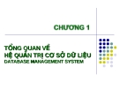 Bài giảng Chương I: Tổng quan về Hệ quản trị cơ sở dữ liệu (Database Management System)