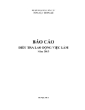 Báo cáo Điều tra lao động việc làm năm 2013 - Bộ Kế hoạch và Đầu tư Tổng cục Thống kê