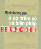 Biện pháp phòng trị bệnh thường gặp ở cá trắm cỏ: Phần 1