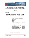 Báo cáo Thực hành phụ gia