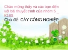 Thuyết trình: Cây công nghiệp