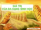 Thuyết trình: Giá trị của đa dạng sinh học