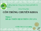 Thuyết trình Côn trùng chuyên khoa: Thiên địch trên cây lúa