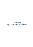 Chuyên đề Quy hoạch động