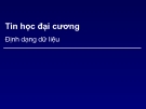 Bài giảng Tin học đại cương: Chương 5b - Định dạng dữ liệu