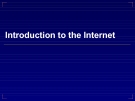 Bài giảng Tin học cơ sở: Introduction to the Internet