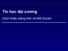 Bài giảng Tin học đại cương: Chương 5 - Giới thiệu bảng tính và MS Excel