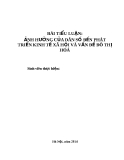 Tiểu luận: Ảnh hưởng của dân số đến phát triển kinh tế xã hội và vấn đề đô thị hóa