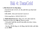 Bài giảng Lập trình trực quan - Bài 4: DataGrid