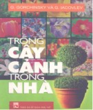 Kỹ thuật trồng cây cảnh trong nhà: Phần 2