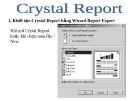 Bài giảng Lập trình trực quan (Ngôn ngữ Visual Basic): Bài 7 - Crystal Report