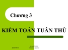 Bài giảng Kiểm toán tuân thủ