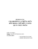 Bài báo cáo: Chlorophyll & những biến đổi trong chế biến và bảo quản thực phẩm