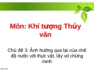 Thuyết trình Khí tượng thủy văn: Ảnh hưởng qua lại của chế độ nước với thực vật, lấy VD chứng minh