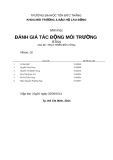 Báo cáo đánh giá tác động môi trường: Phát triển bền vững (nhóm 2)