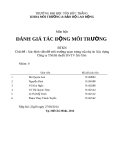 Báo cáo đánh giá tác động môi trường: Xác định vấn đề môi trường quan trọng của dự án xây dựng công ty TNHH thuốc BVTV Sài Gòn (nhóm 9)