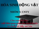 Thuyết trình Hóa sinh động vật: Chu trình Krebs - mối liên quan giữa chu trình Krebs và chuỗi hô hấp mô bào