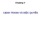 Bài giảng Kinh tế học vi mô: Chương 5 - GV. Mai Văn Hùng