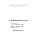 Đề thi tốt nghiệp cao đẳng nghề Điện tử công nghiệp - TH43