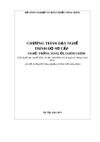 Chương trình dạy nghề trình độ sơ cấp nghề: Trồng Xoài, ổi, chôm chôm