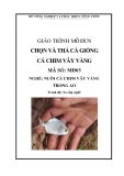 Giáo trình Chọn và thả cá giống cá chim vây vàng - MĐ03: Nuôi cá chim vây vàng