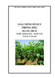 Giáo trình Trồng dâu - MĐ01: Trồng dâu – nuôi tằm