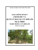 Giáo trình Quản lý bảo vệ cây bời lời - MĐ04: Trồng cây bời lời