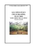 Giáo trình Chuẩn bị giống - MĐ02: Trồng tre lấy măng