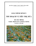 Giáo trình Thu hoạch và tiêu thụ dứa - MĐ06: Trồng dứa (khóm, thơm)