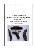 Giáo trình Phòng trừ bệnh hại tằm - MĐ06: Trồng dâu – nuôi tằm