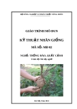 Giáo trình Kỹ thuật nhân giống - MĐ02: Trồng đào, quất cảnh