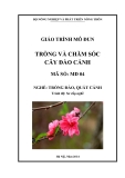 Giáo trình Trồng và chăm sóc cây đào cảnh - MĐ04: Trồng đào, quất cảnh