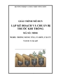 Giáo trình Lập kế hoạch và chuẩn bị trước trồng - MĐ01: Trồng măng tây, cà rốt, cải củ