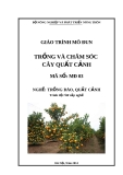 Giáo trình Trồng và chăm sóc cây quất cảnh - MĐ03: Trồng đào, quất cảnh