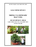 Giáo trình Trồng và chăm sóc mai vàng - MĐ02: Trồng mai vàng, mai chiếu thủy