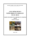 Giáo trình Nuôi chim cút sinh sản - MĐ03: Nuôi chim cút, chim bồ câu thương phẩm