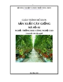 Giáo trình Sản xuất cây giống - MĐ02: Trồng rau công nghệ cao