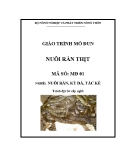 Giáo trình Nuôi rắn thịt - MĐ01: Nuôi rắn, kỳ đà, tắc kè