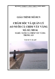 Giáo trình Chăm sóc và quản lý ao nuôi cá chim vây vàng - MĐ04: Nuôi cá chim vây vàng trong ao