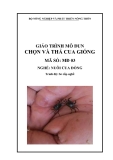 Giáo trình Chọn và thả cua giống - MĐ03: Nuôi cua đồng