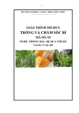 Giáo trình Trồng và chăm sóc bí - MĐ03: Trồng bầu, bí, dưa chuột