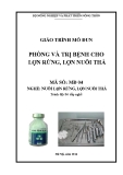 Giáo trình Phòng và trị bệnh cho lợn rừng, lợn nuôi thả - MĐ04: Nuôi lợn rừng, lợn nuôi thả