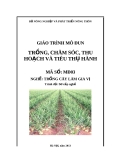 Giáo trình Trồng, chăm sóc, thu hoạch và tiêu thụ hành - MĐ03: Trồng cây làm gia vị