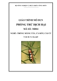 Giáo trình Phòng trừ dịch hại - MĐ04: Trồng măng tây, cà rốt, cải củ