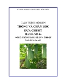 Giáo trình Trồng và chăm sóc dưa chuột - MĐ04: Trồng bầu, bí, dưa chuột