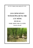 Giáo trình Nuôi dưỡng rừng tre lấy măng - MĐ04: Trồng tre lấy măng